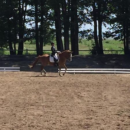 ホテル Sassi Talu Horsefarm ペルヌ エクステリア 写真