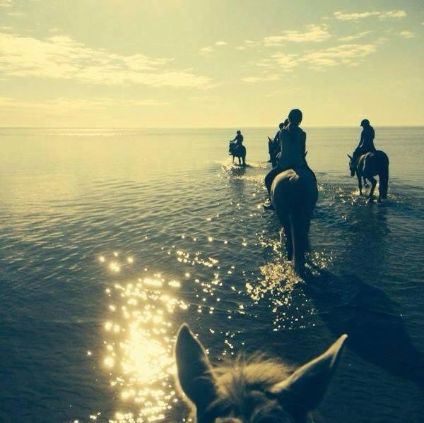 ホテル Sassi Talu Horsefarm ペルヌ エクステリア 写真