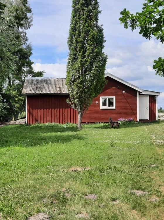 ホテル Sassi Talu Horsefarm ペルヌ エクステリア 写真